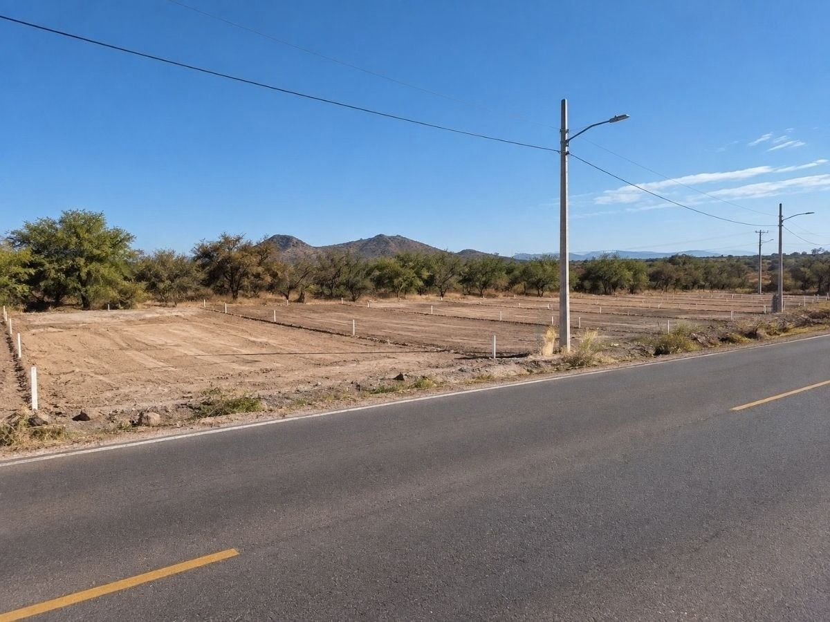 Frente a pie de carretera